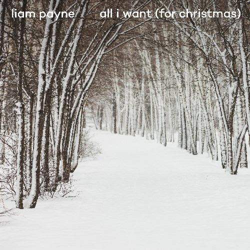 LIAM PAYNE RELEASES “ALL I WANT (FOR CHRISTMAS)”