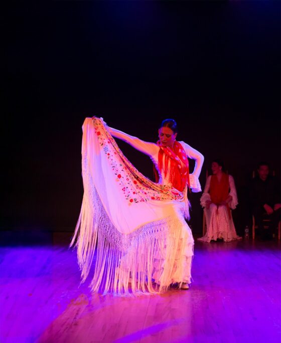Ballet Flamenco La Rosa Soloist Mayelu Pérez in “Cuadro Flamenco”
